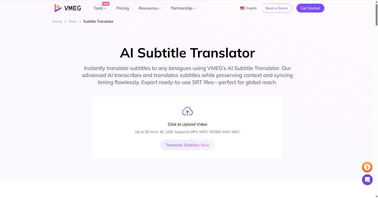 Top Subtitle Translator - VMEG AI